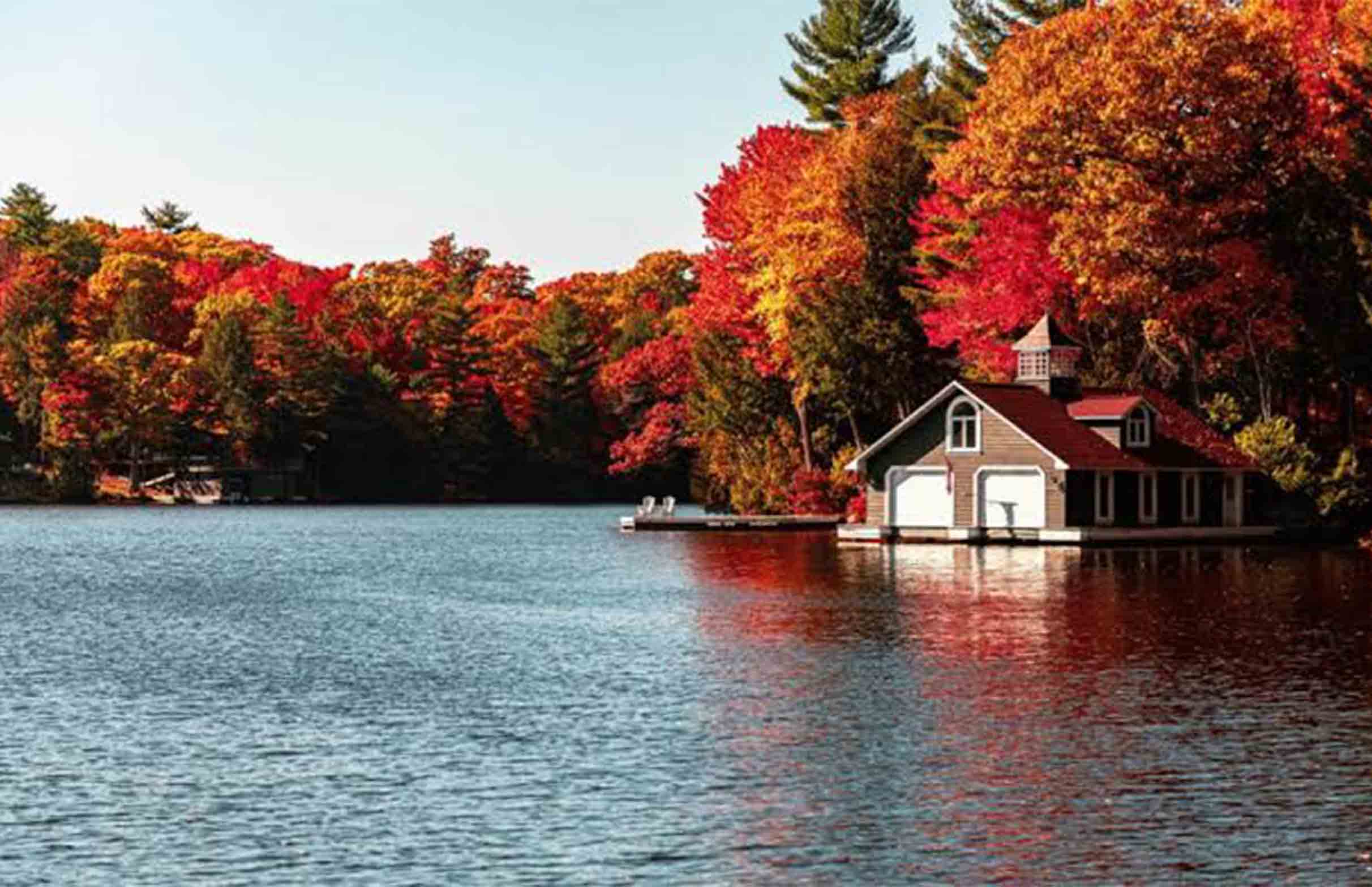 Escaping the Autumn Rush: My Nature Retreat Journey in Canada with BookRetreats
